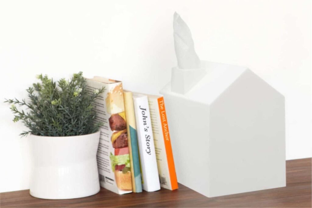 Casita porta pañuelos